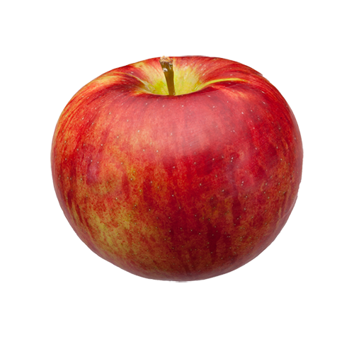 Cortland Apples Information and Facts