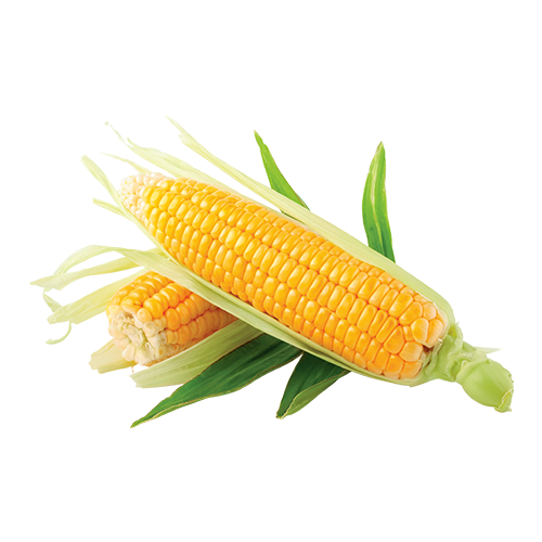 Corn - Tomavo