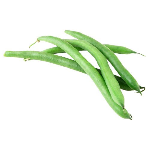 Bean- Green - Tomavo
